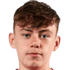布拉德利